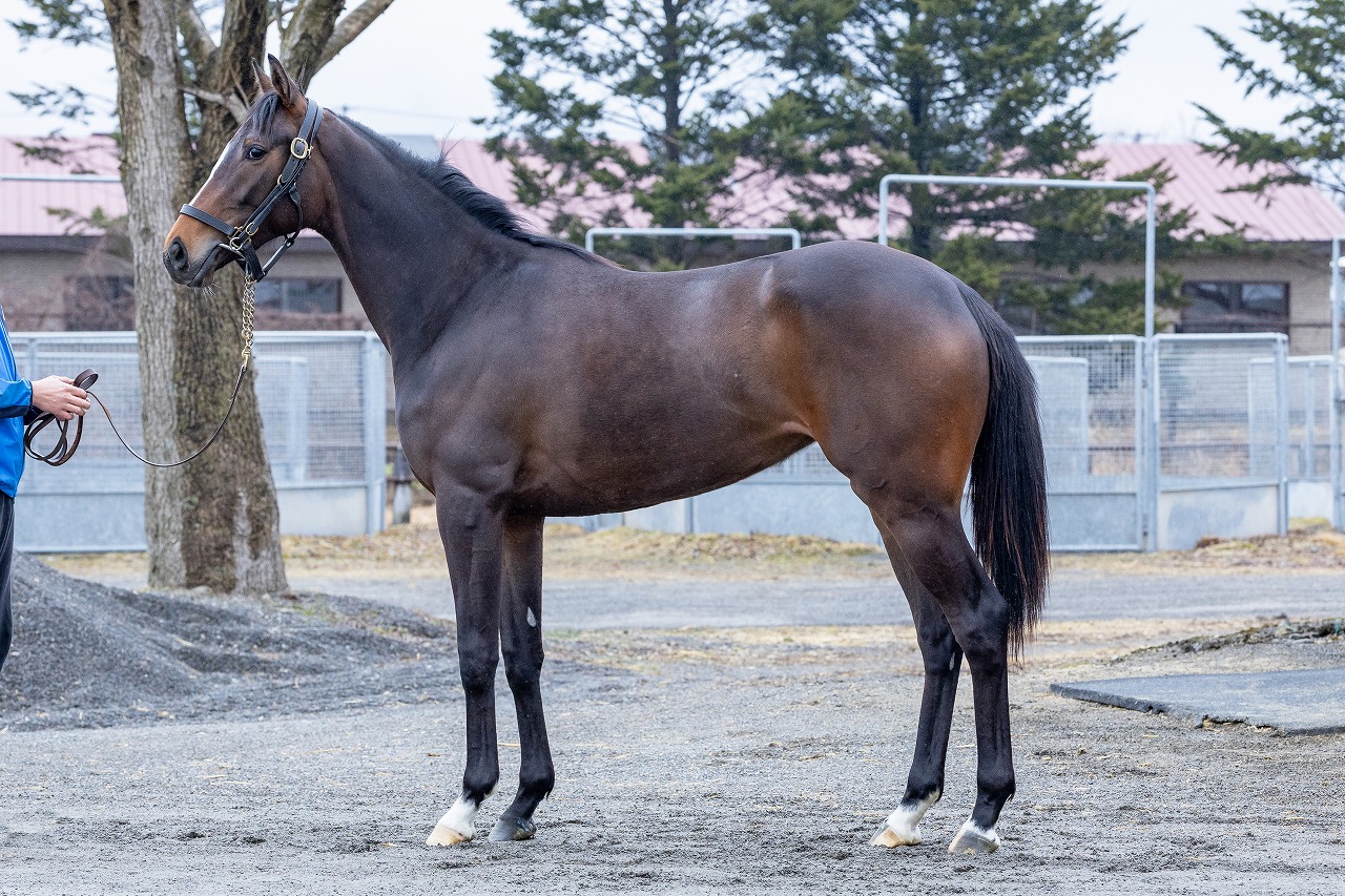 画像サムネイル