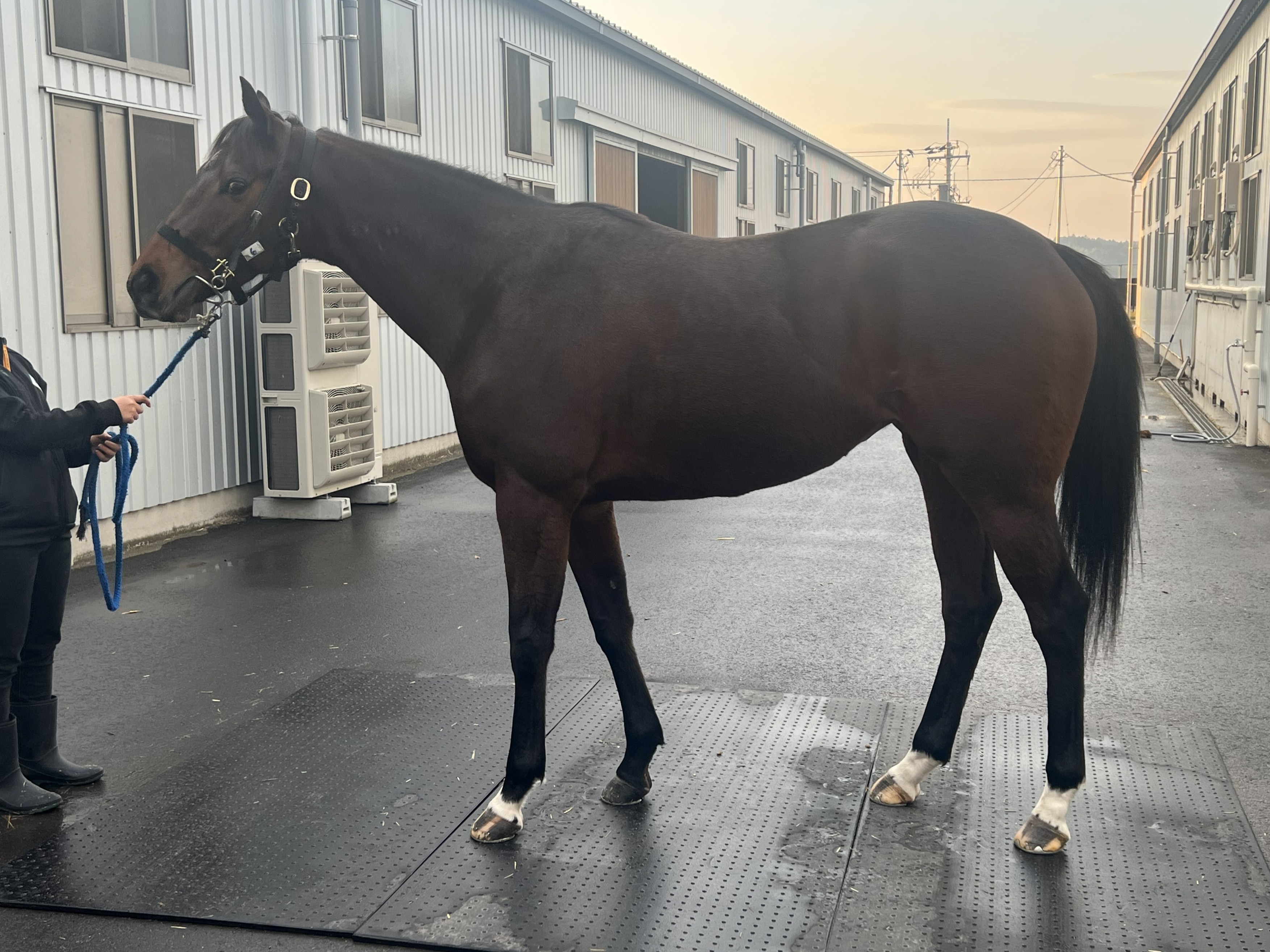 画像サムネイル