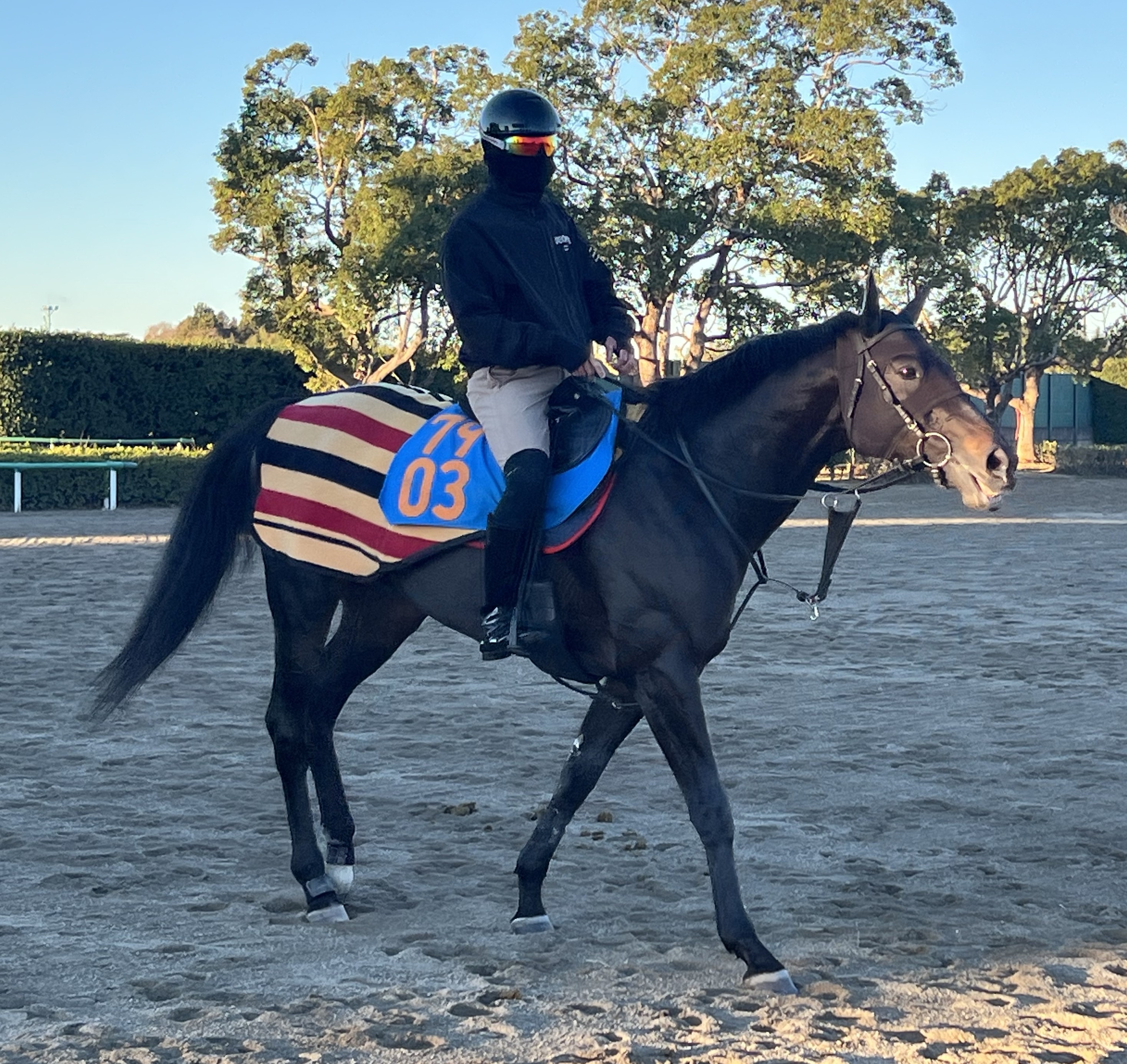 画像サムネイル