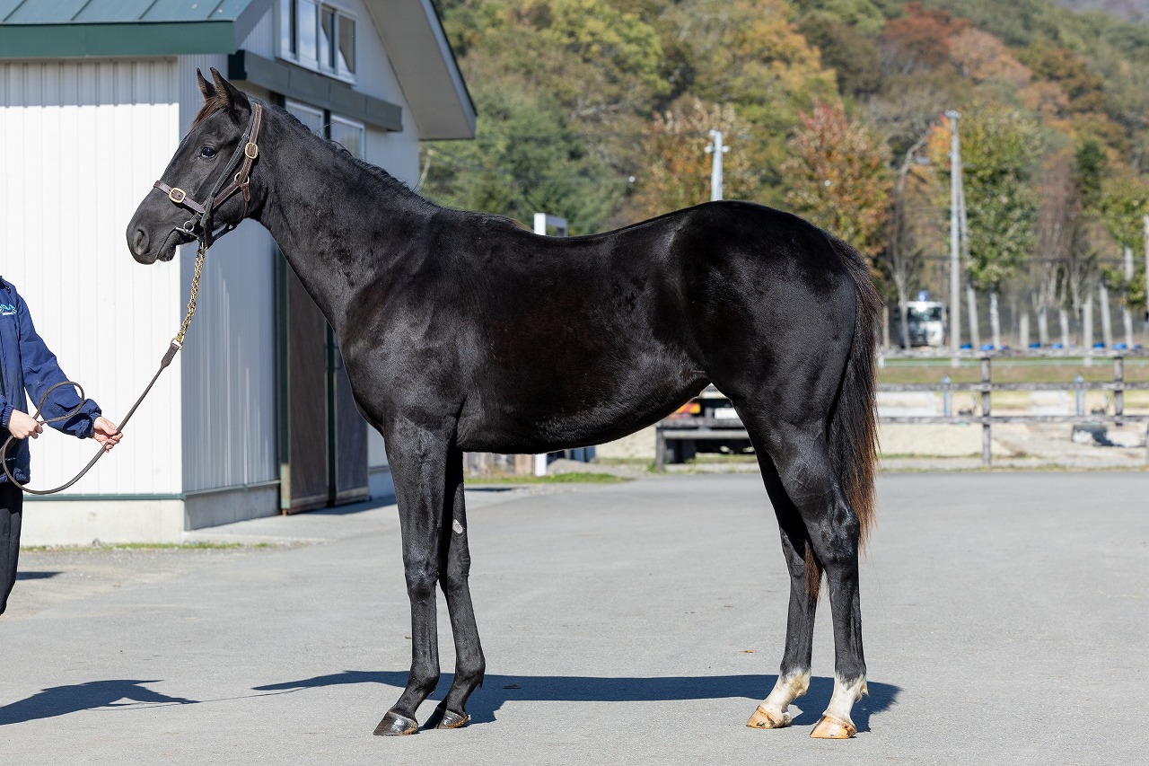 画像サムネイル