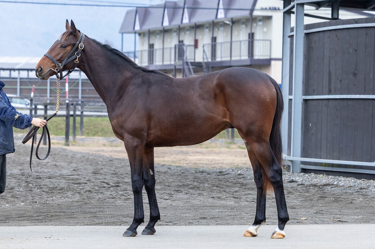 画像サムネイル