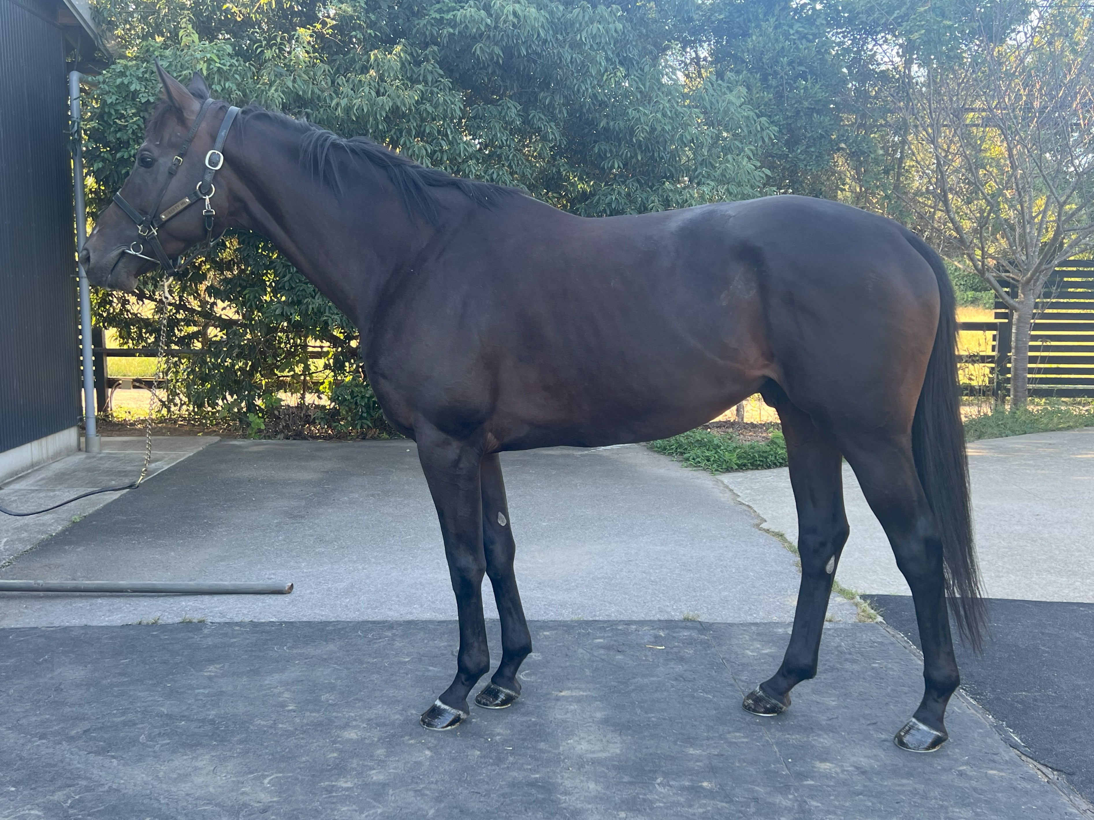 画像サムネイル