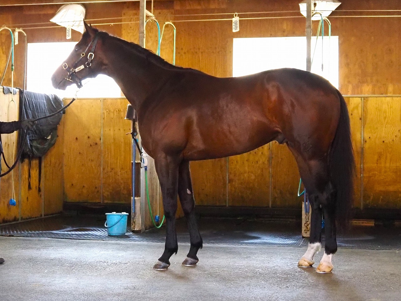 画像サムネイル