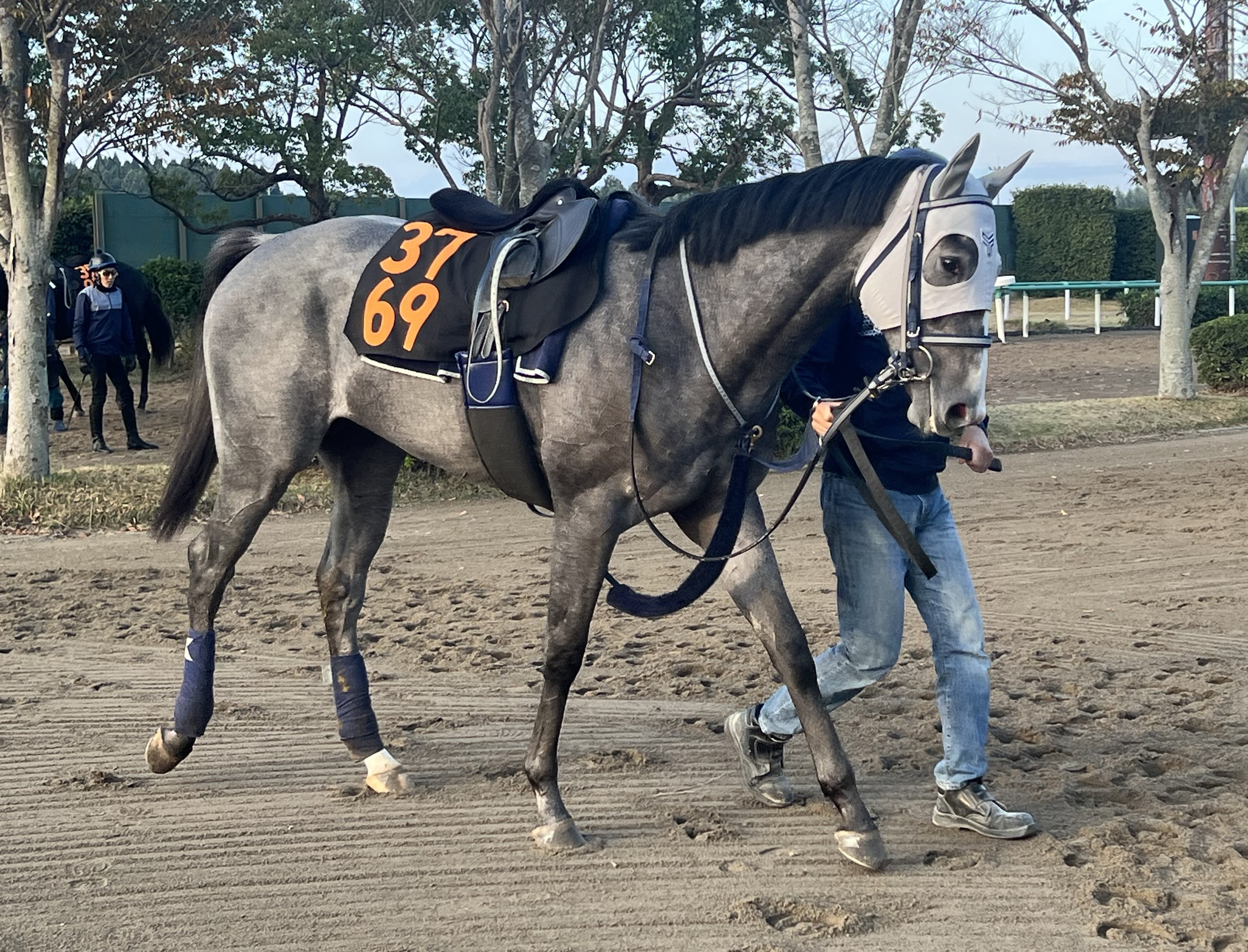 画像サムネイル