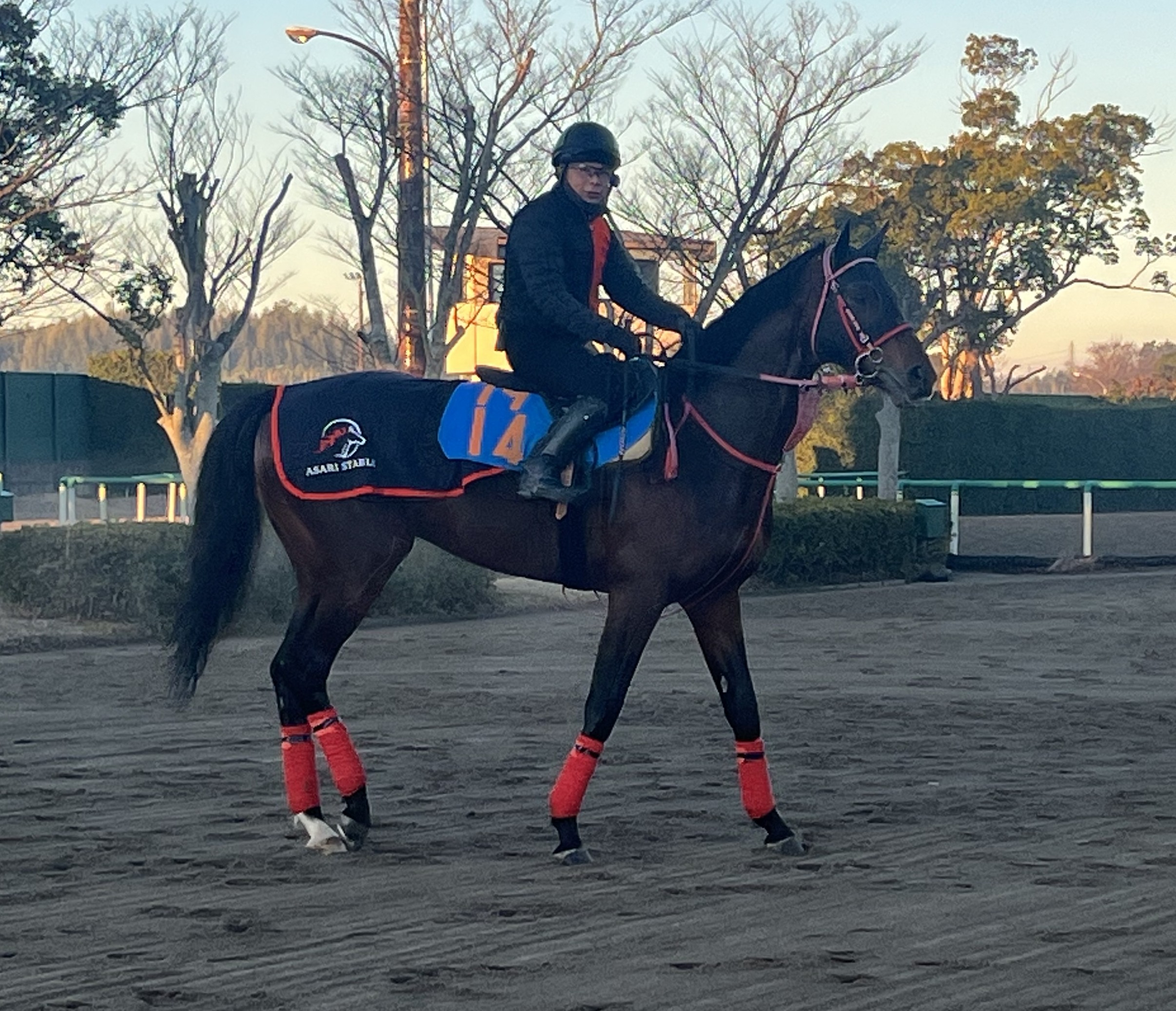 画像サムネイル