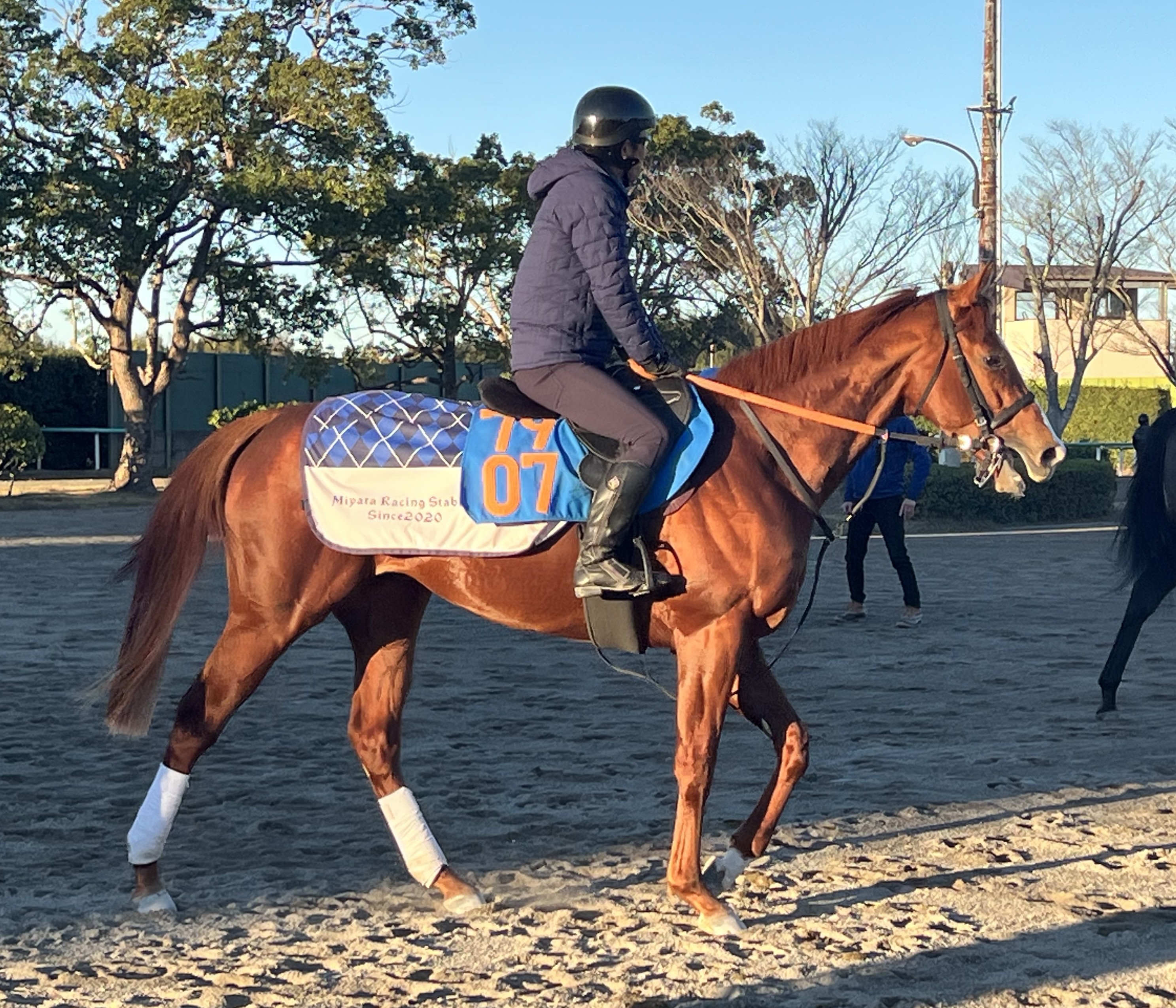 画像サムネイル