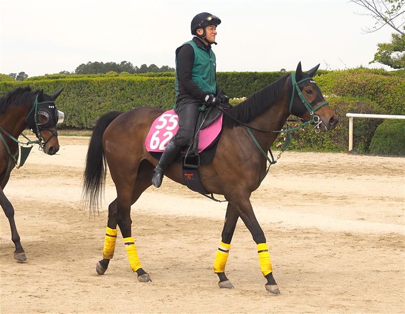 画像サムネイル