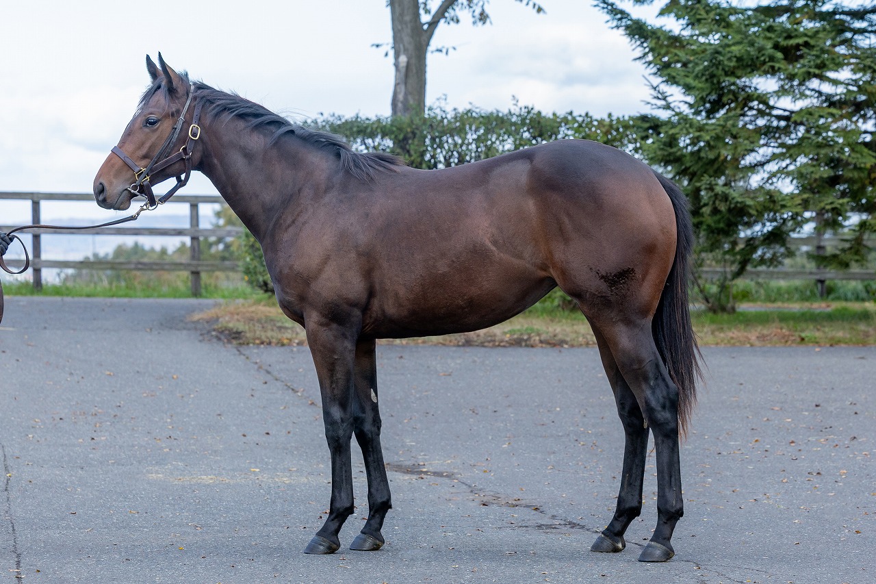 画像サムネイル