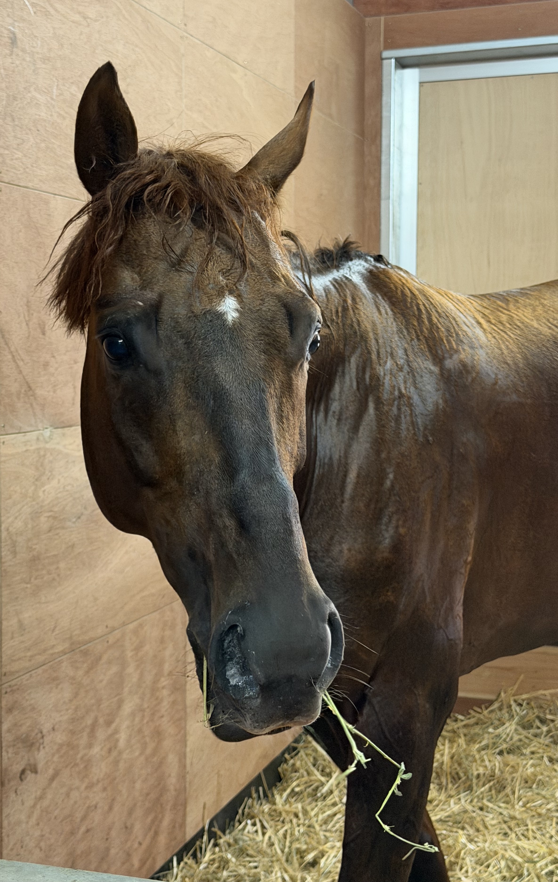 画像サムネイル