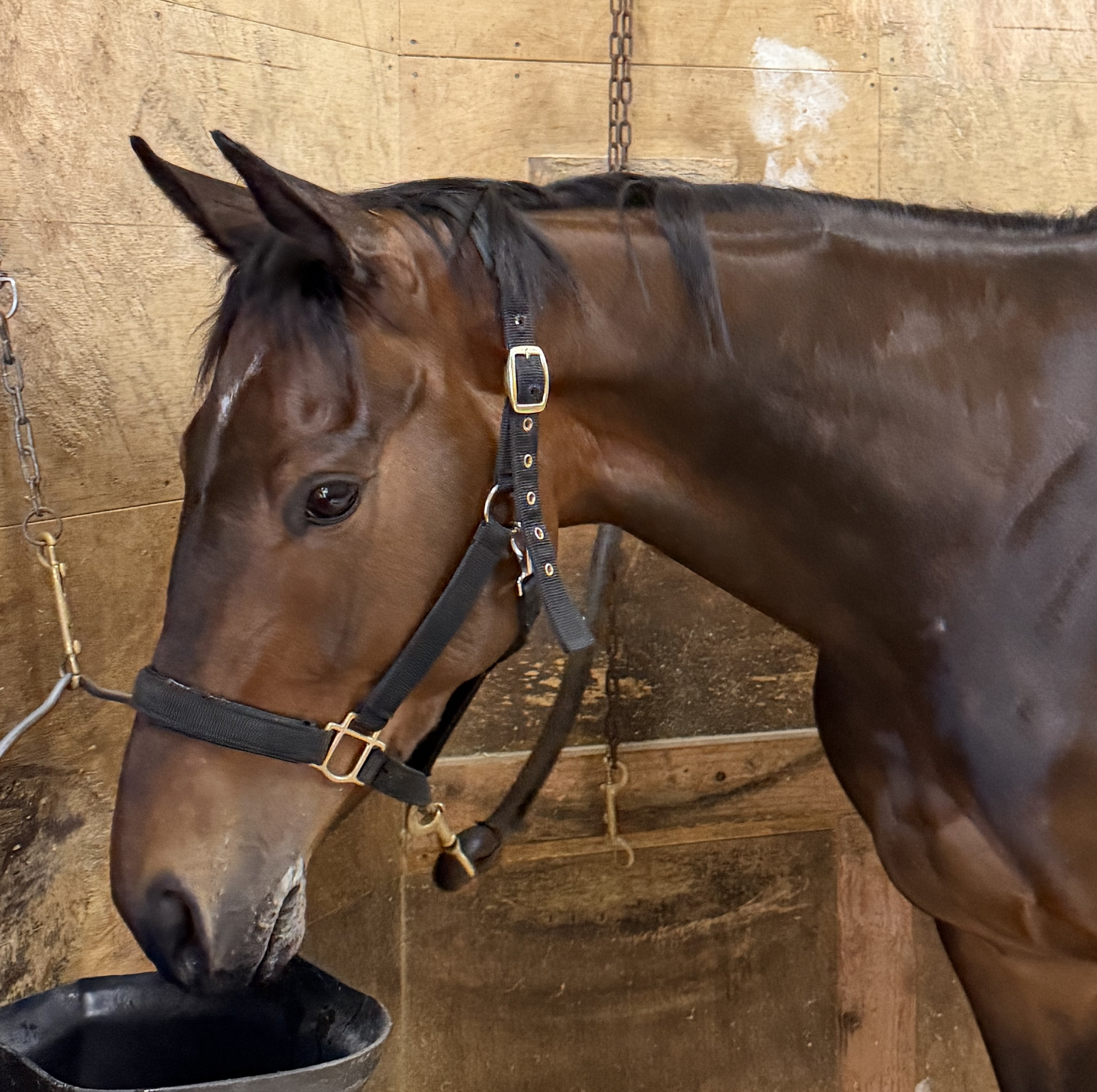 画像サムネイル