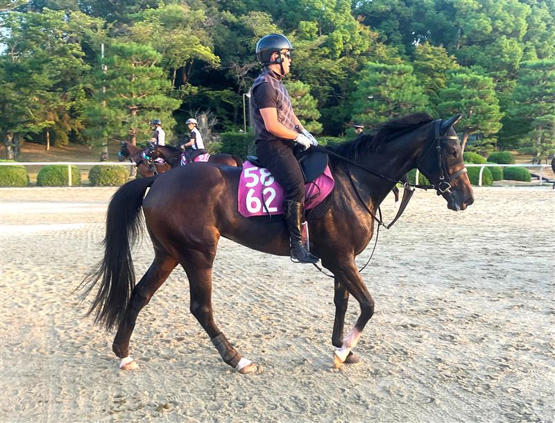 画像サムネイル