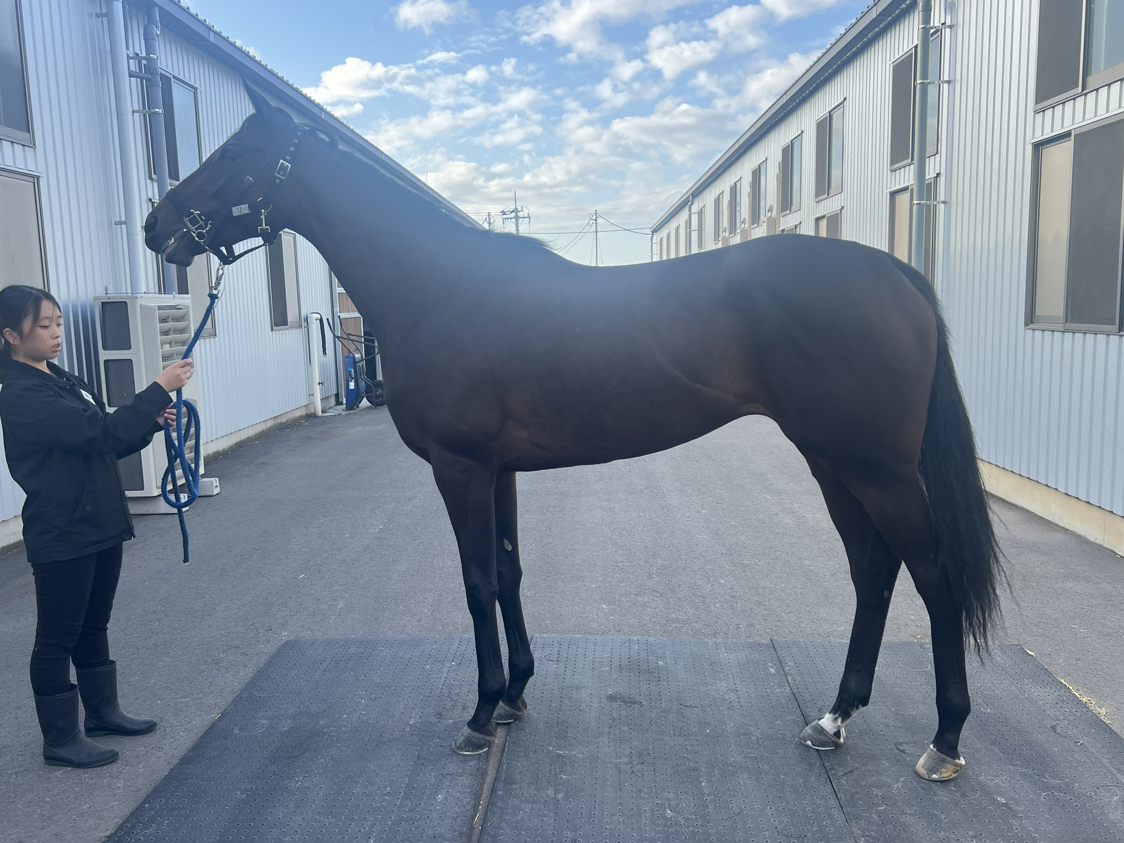 画像サムネイル