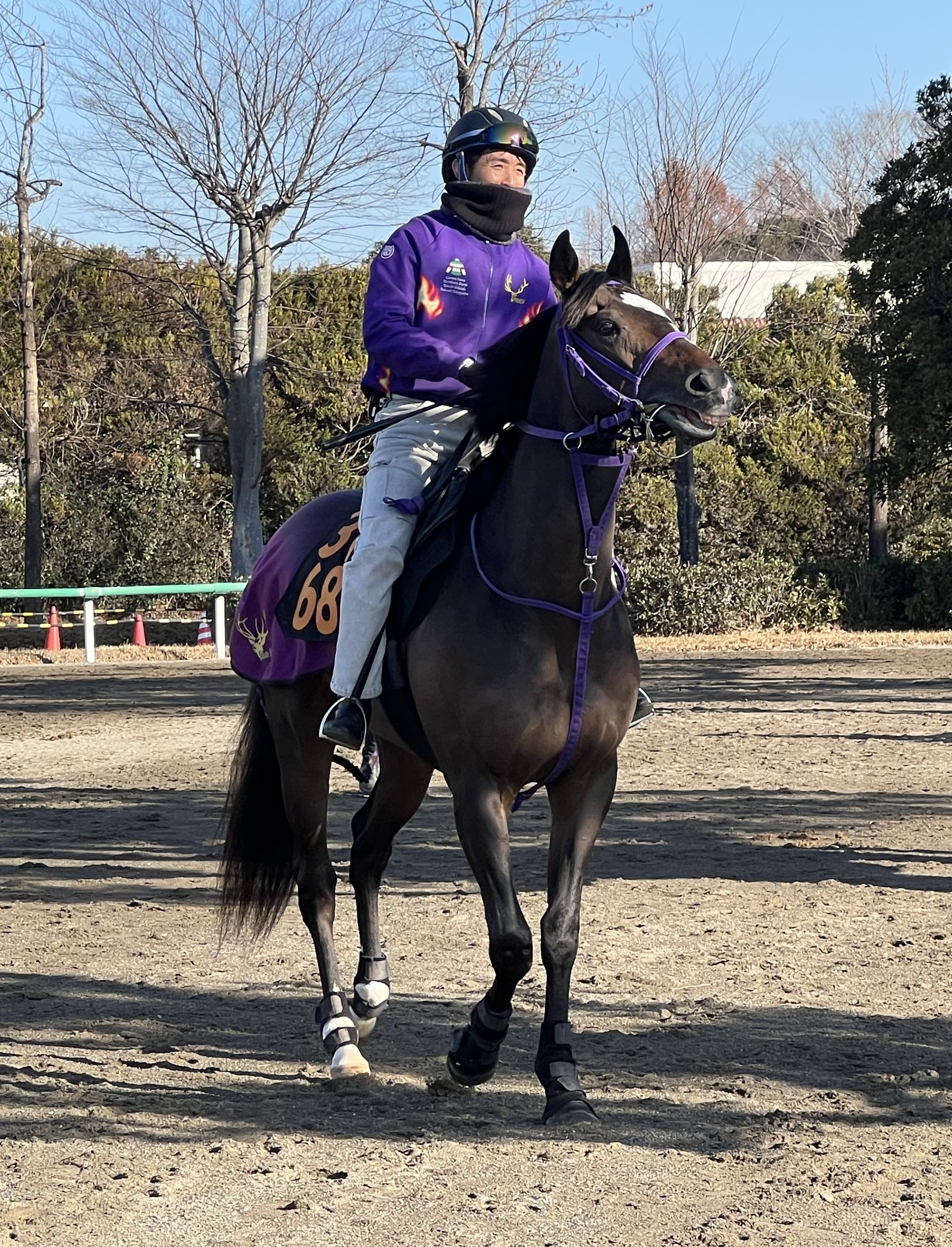 画像サムネイル