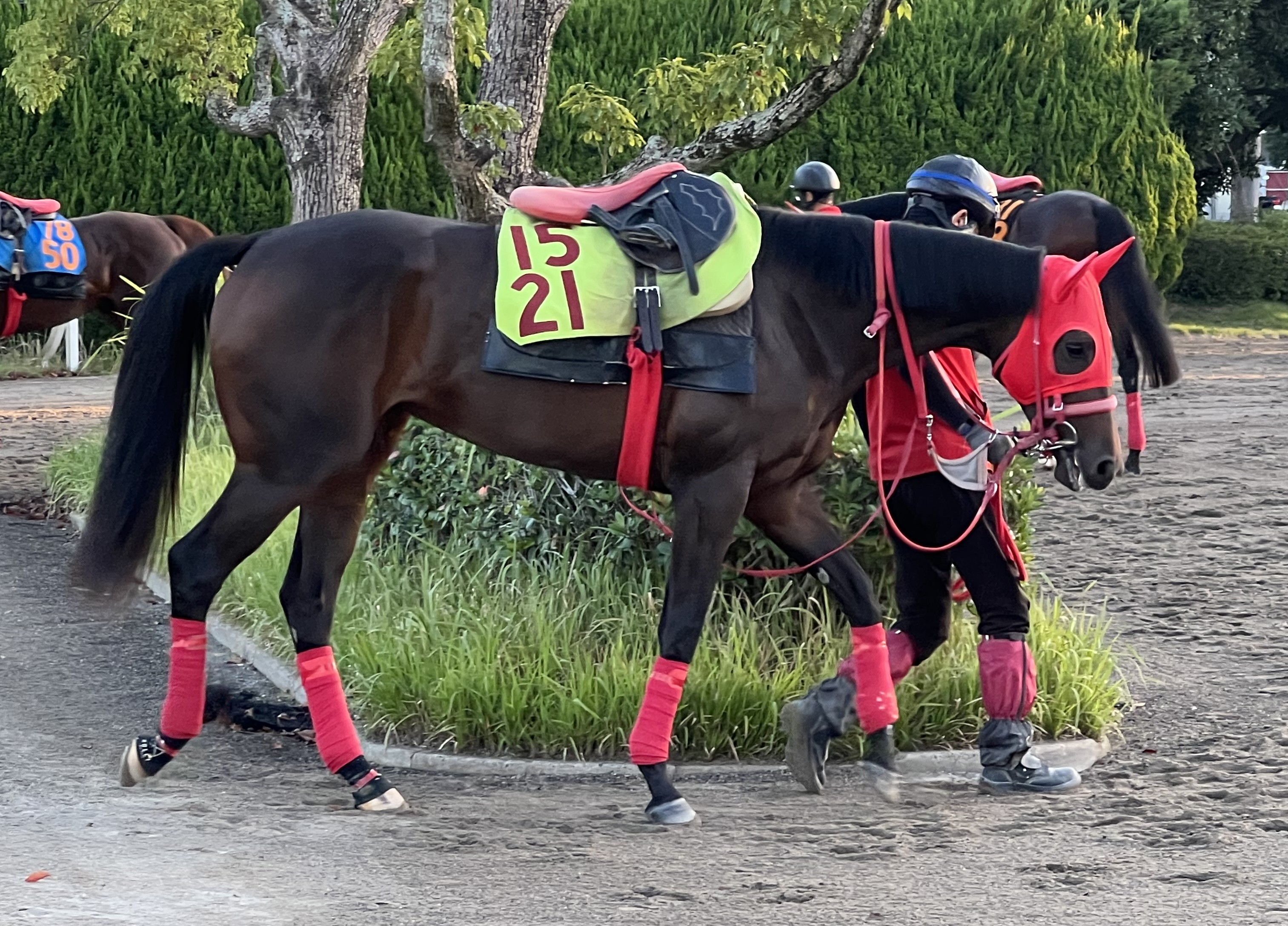 画像サムネイル