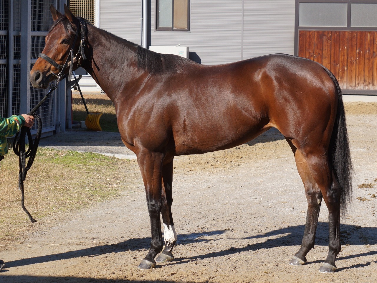 画像サムネイル