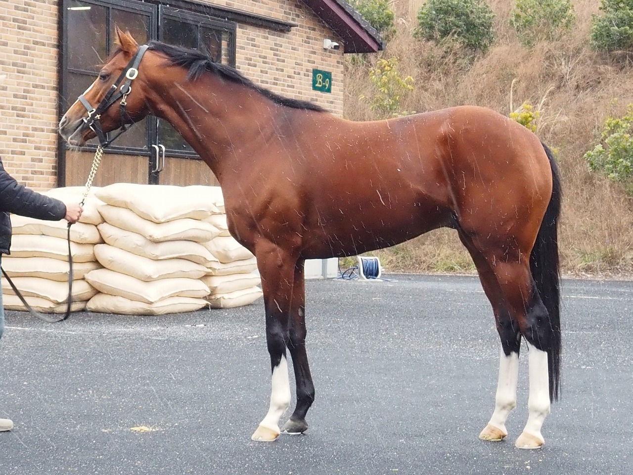 画像サムネイル