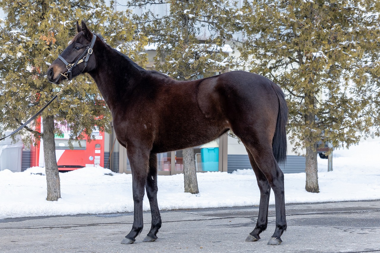 画像サムネイル