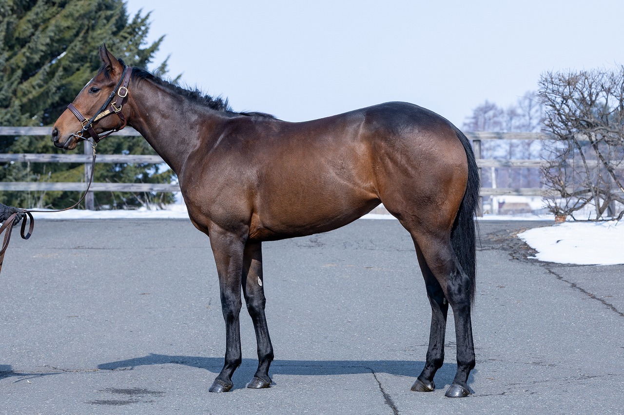 画像サムネイル