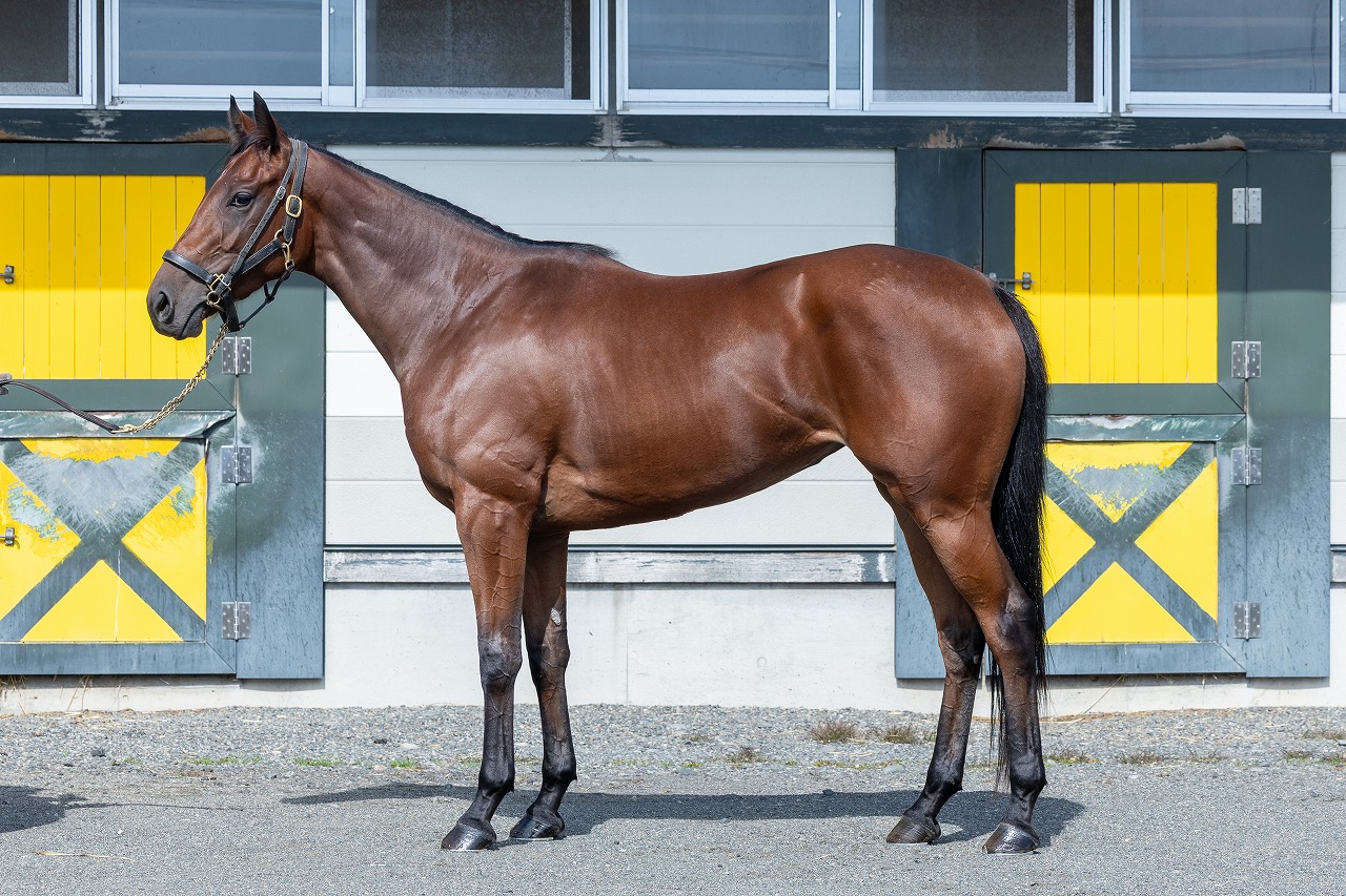 画像サムネイル