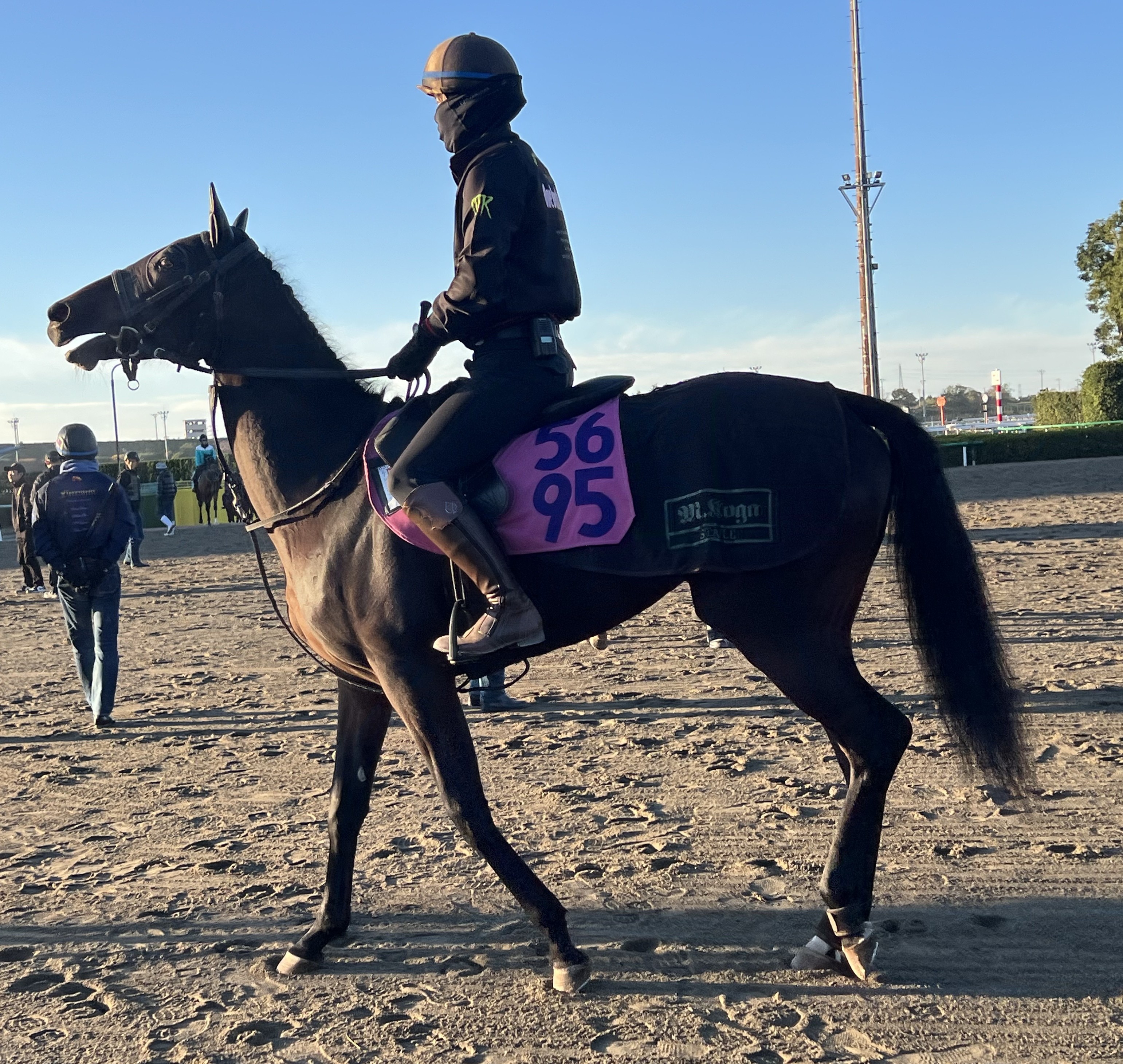 画像サムネイル