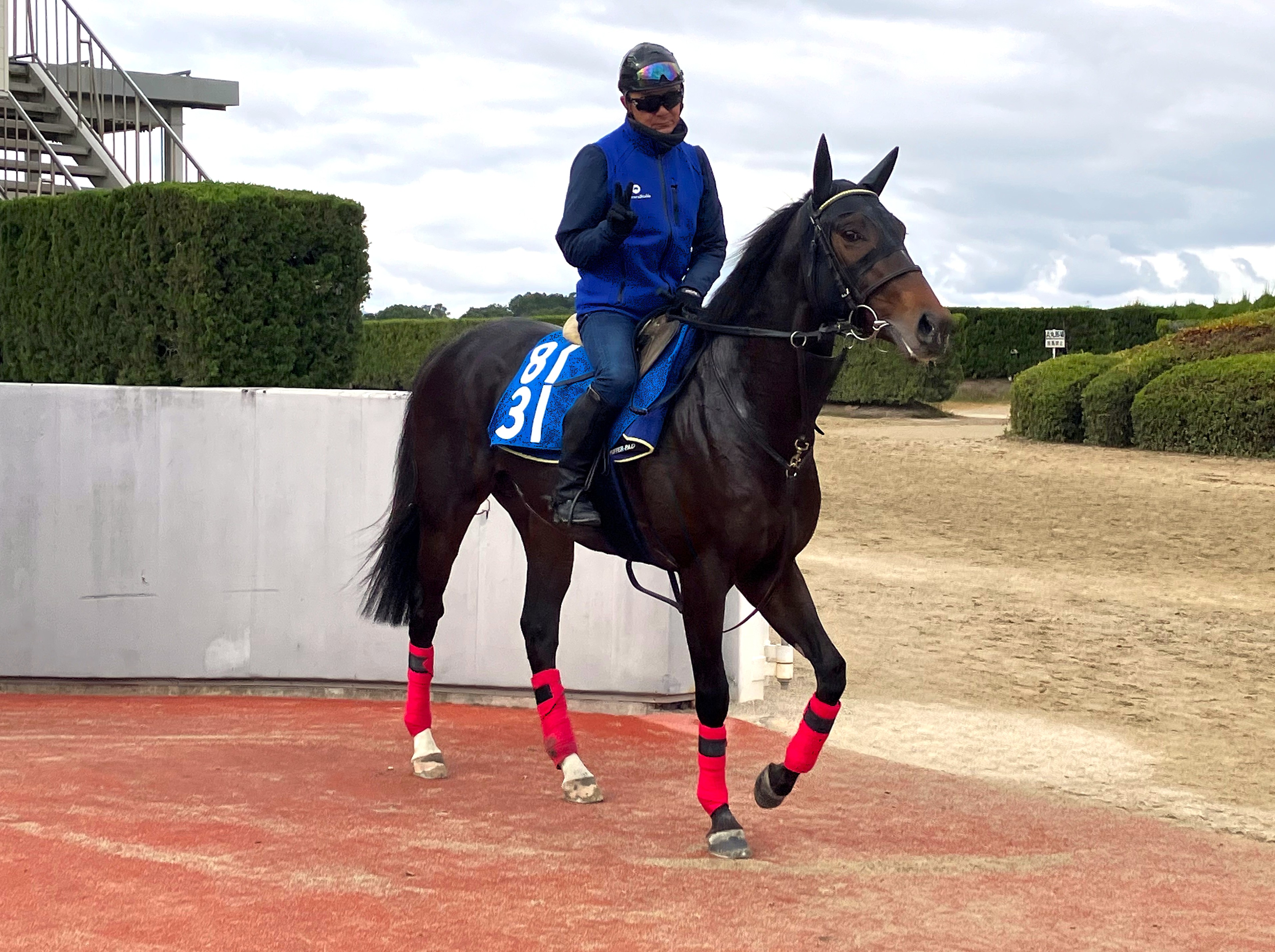 画像サムネイル