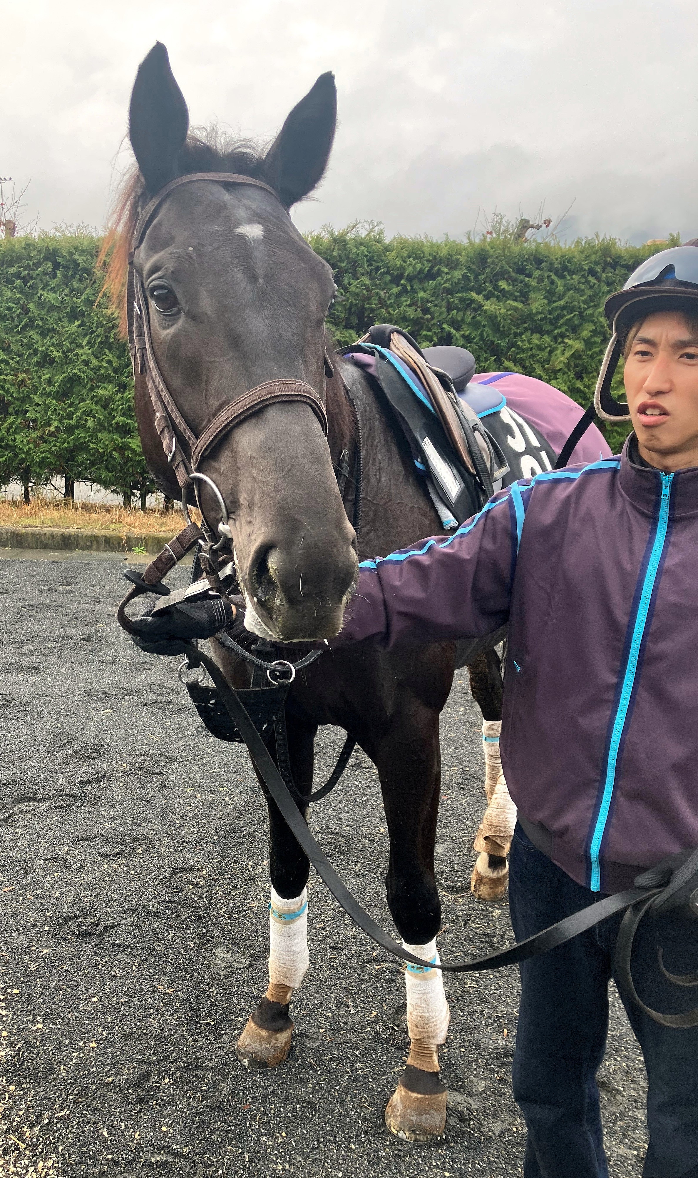 画像サムネイル