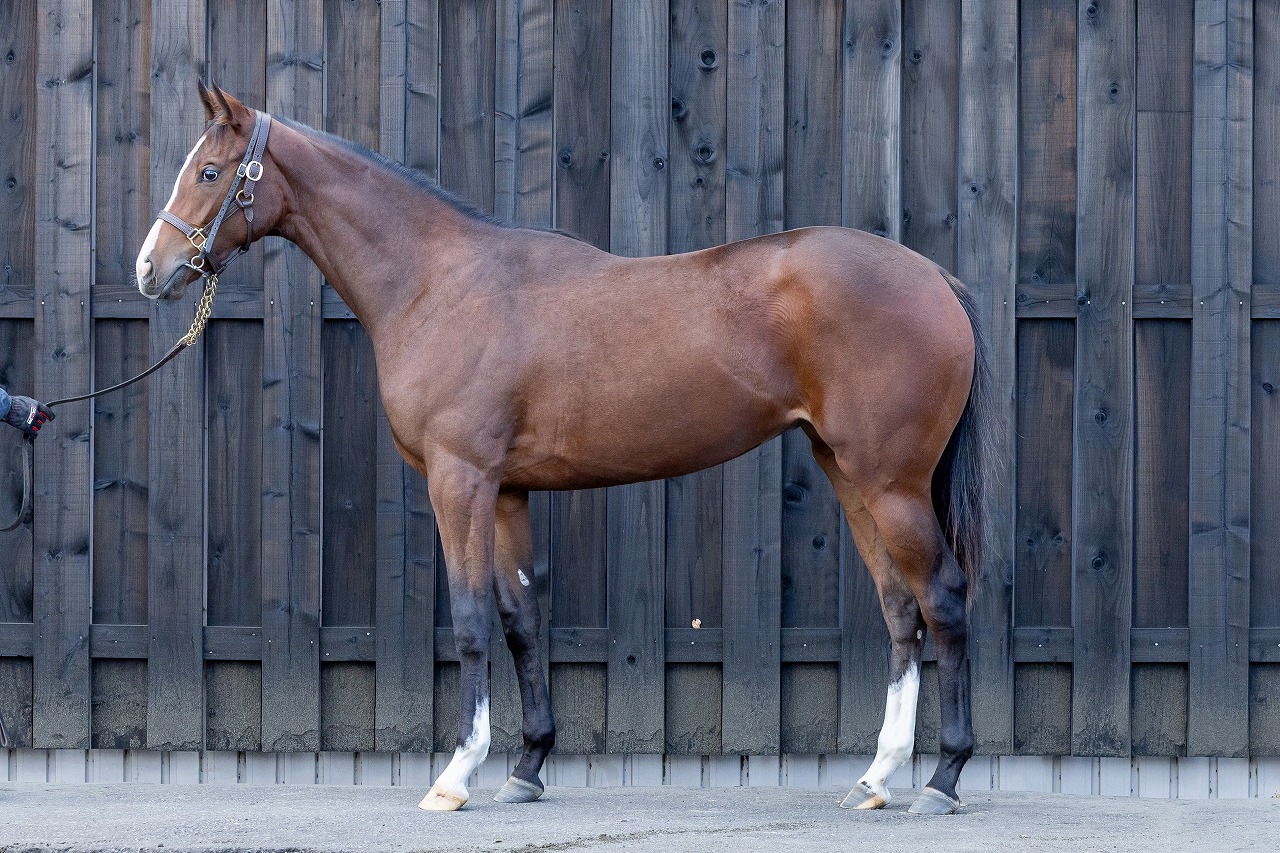 画像サムネイル