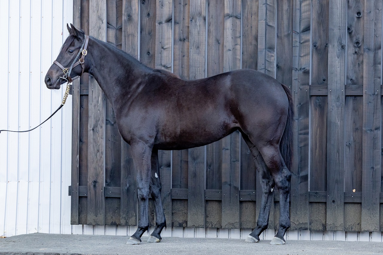 画像サムネイル