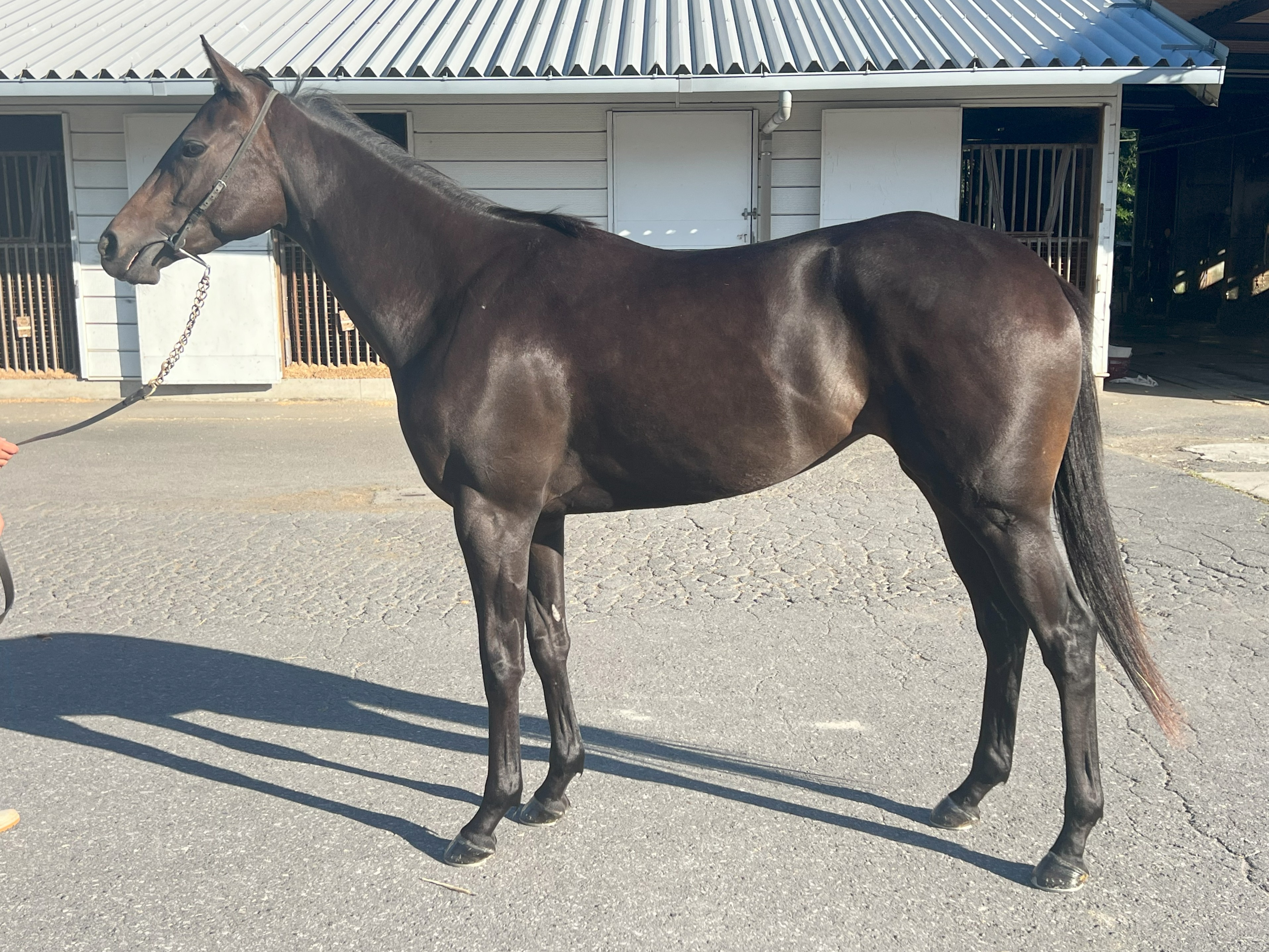 画像サムネイル