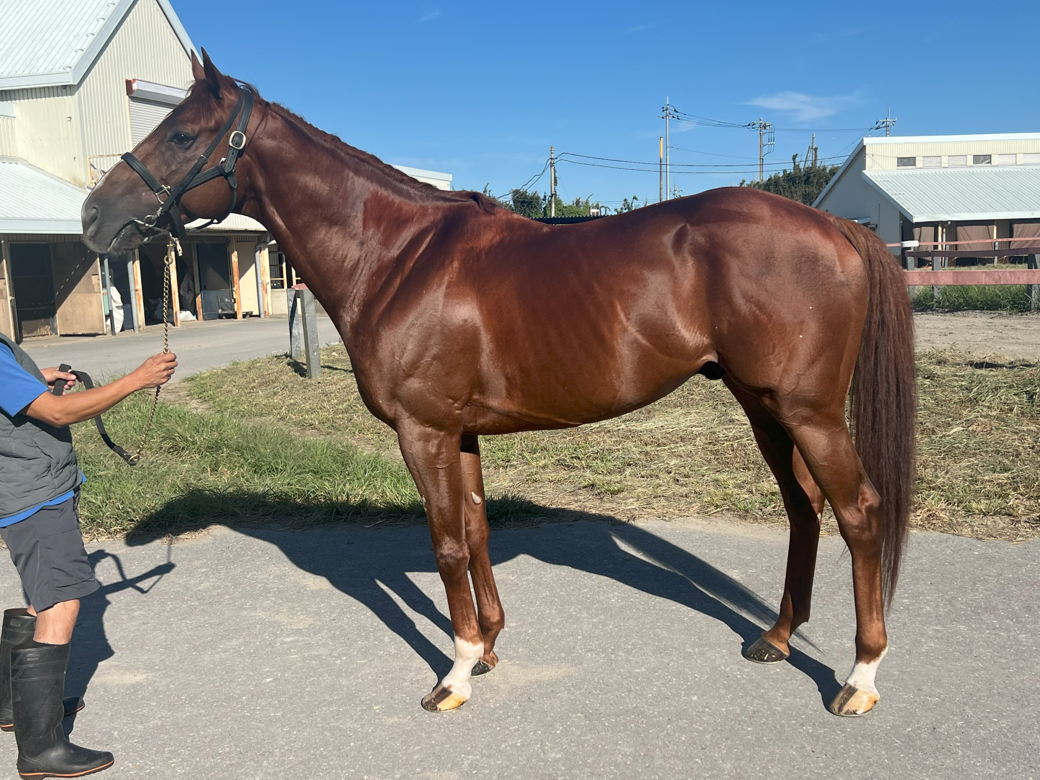 画像サムネイル