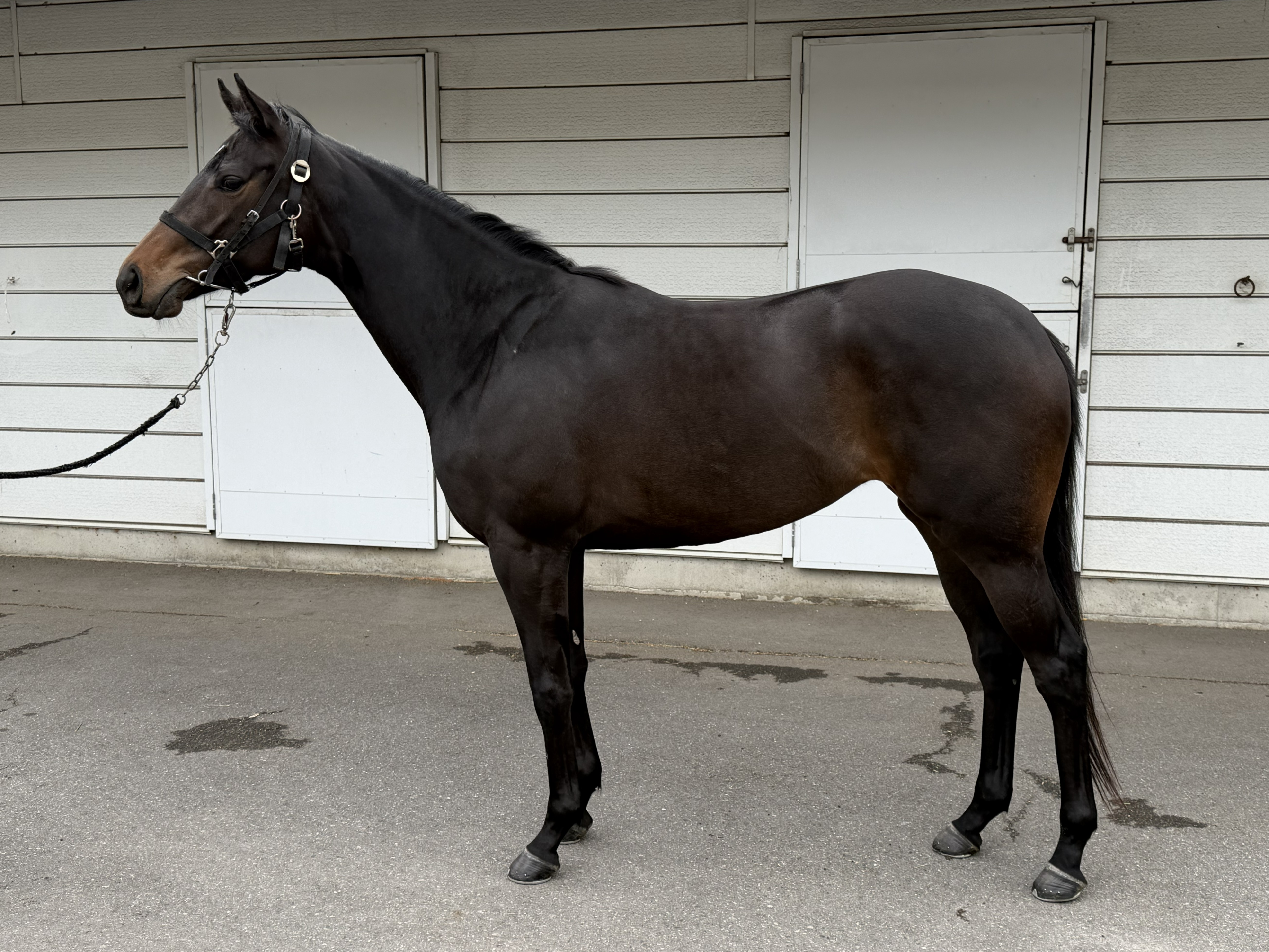 画像サムネイル