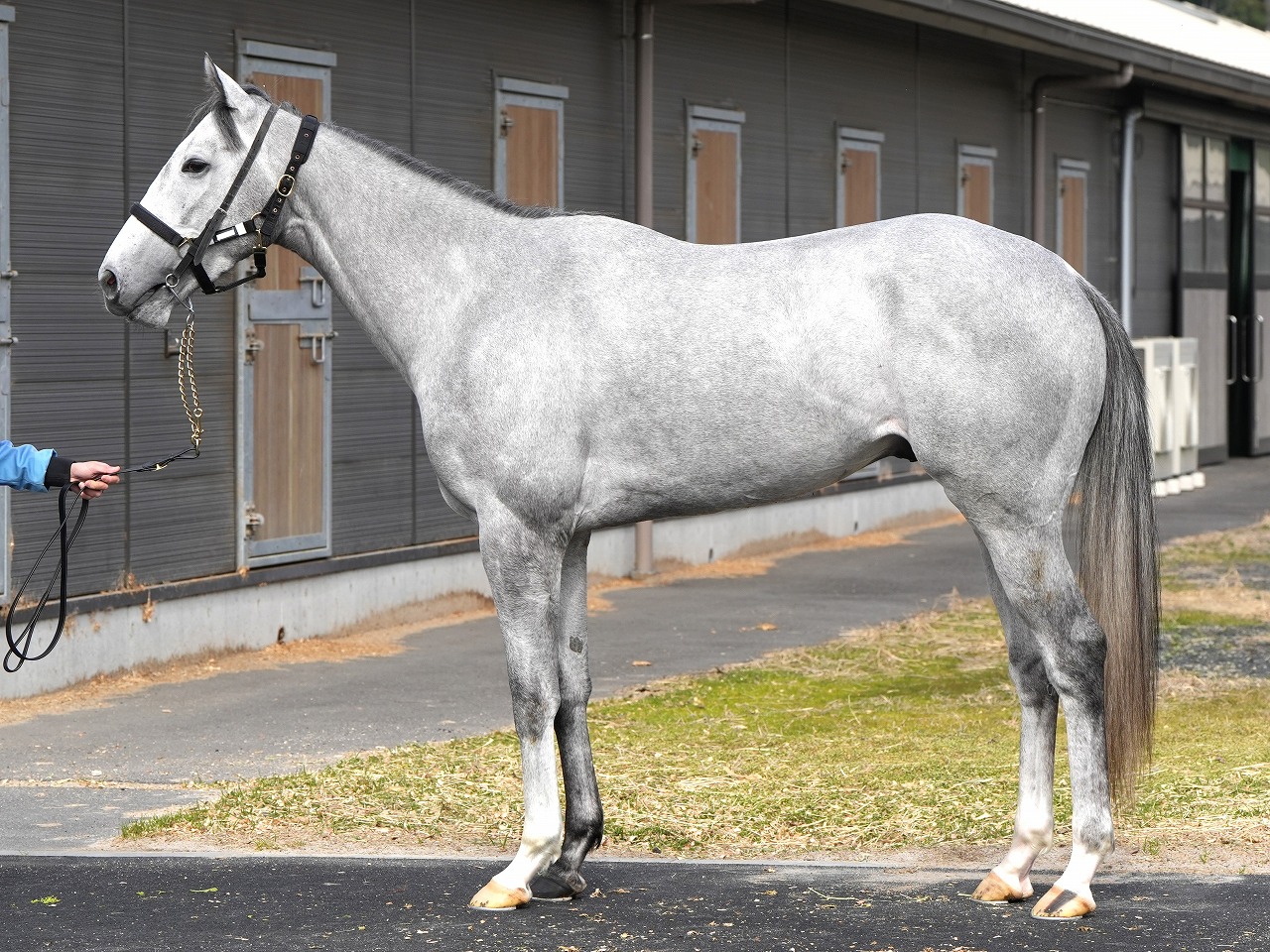 画像サムネイル