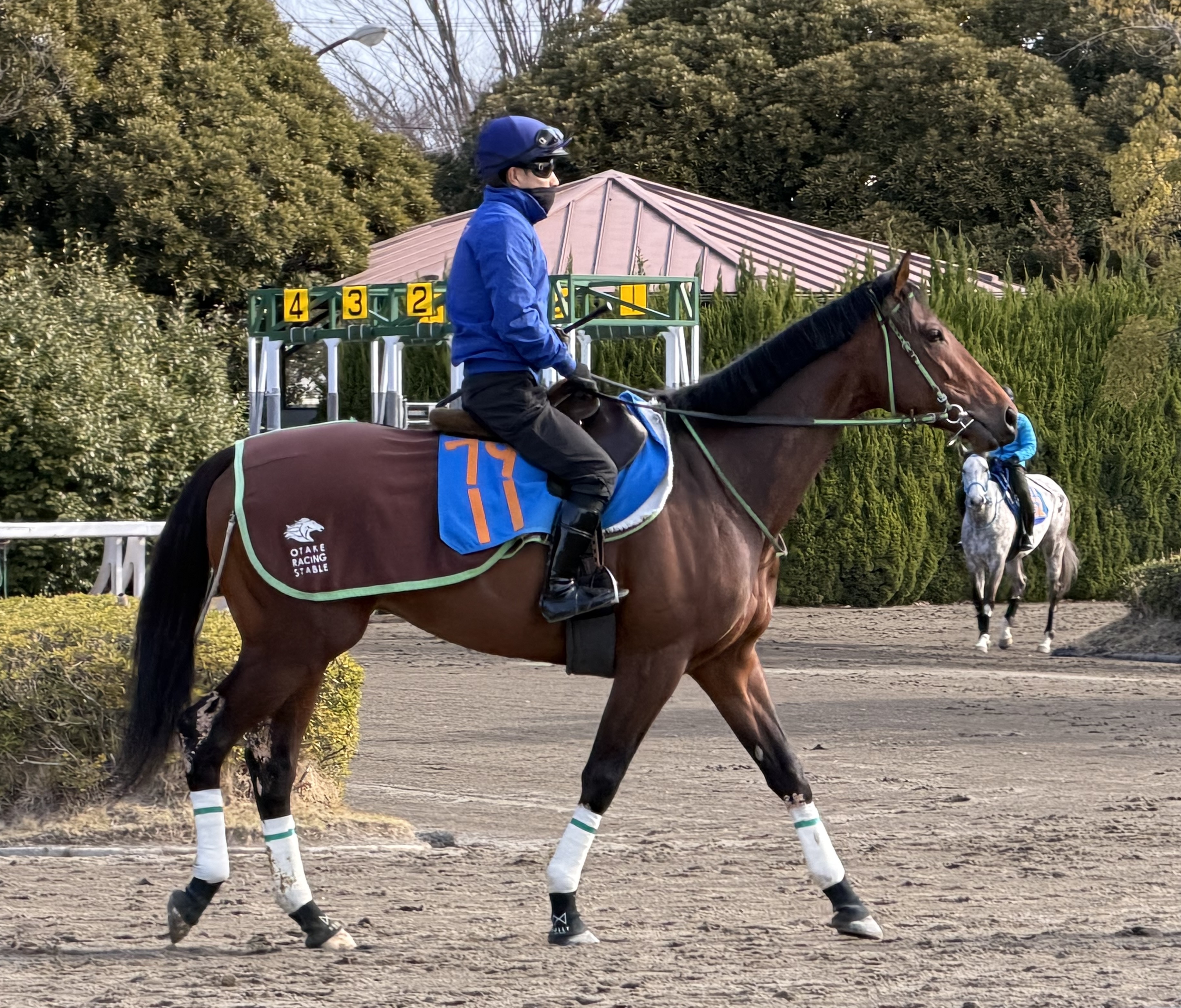 画像サムネイル