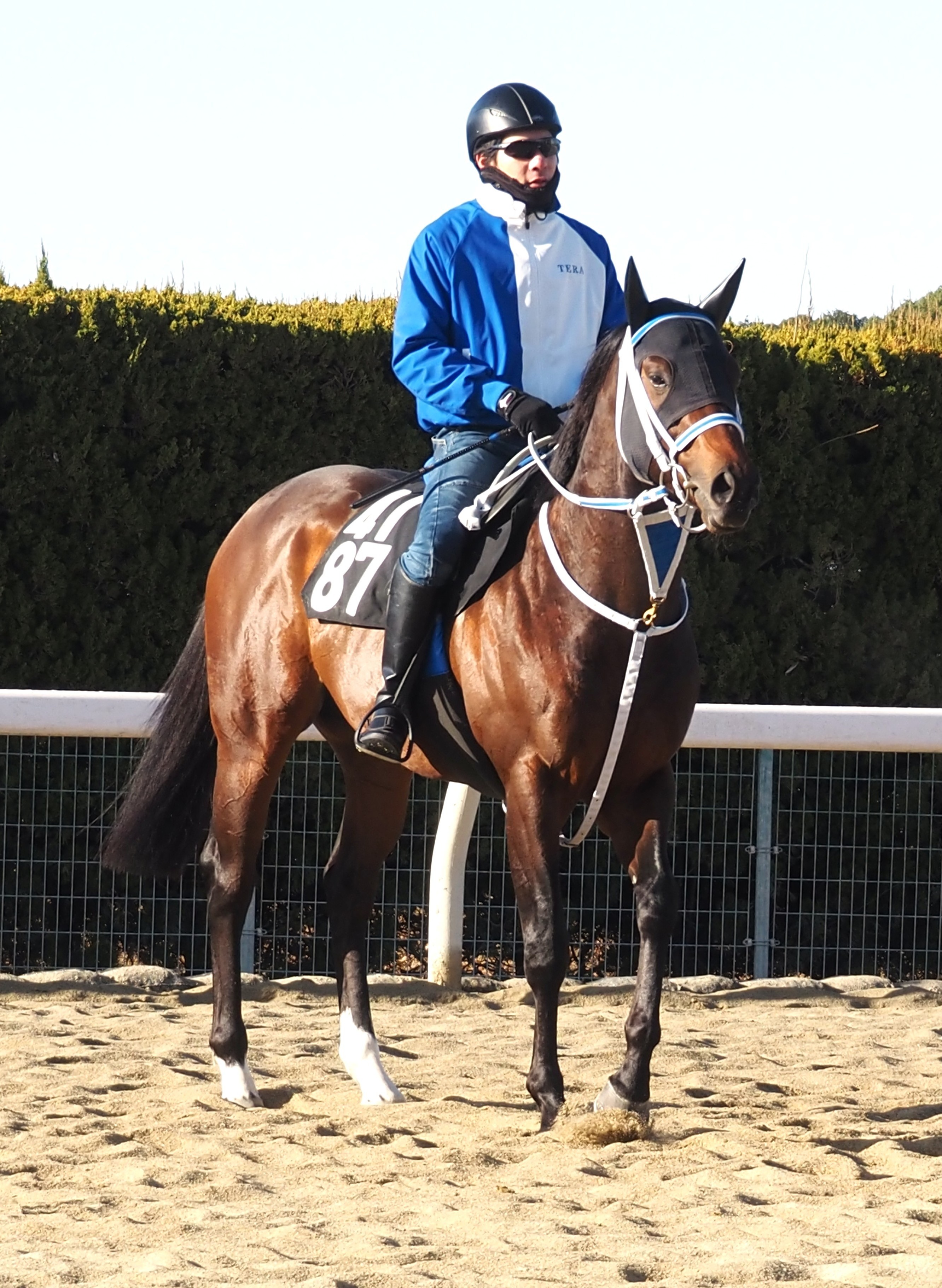 画像サムネイル