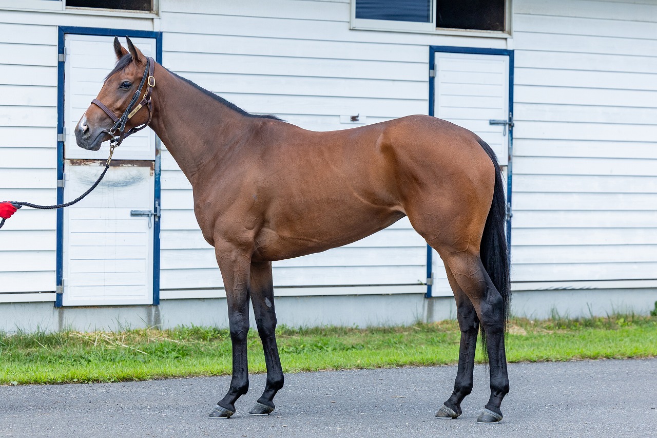 画像サムネイル