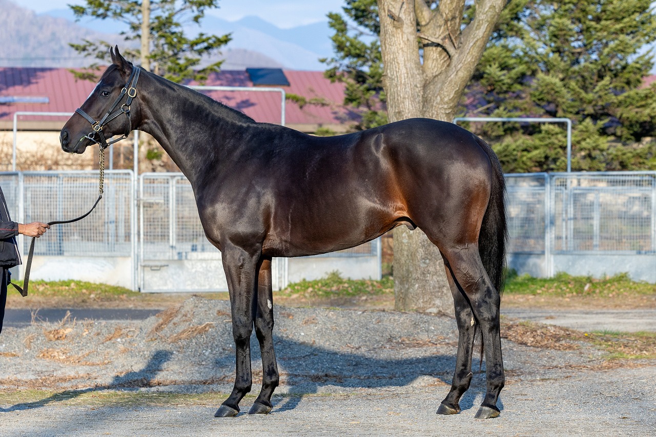 画像サムネイル