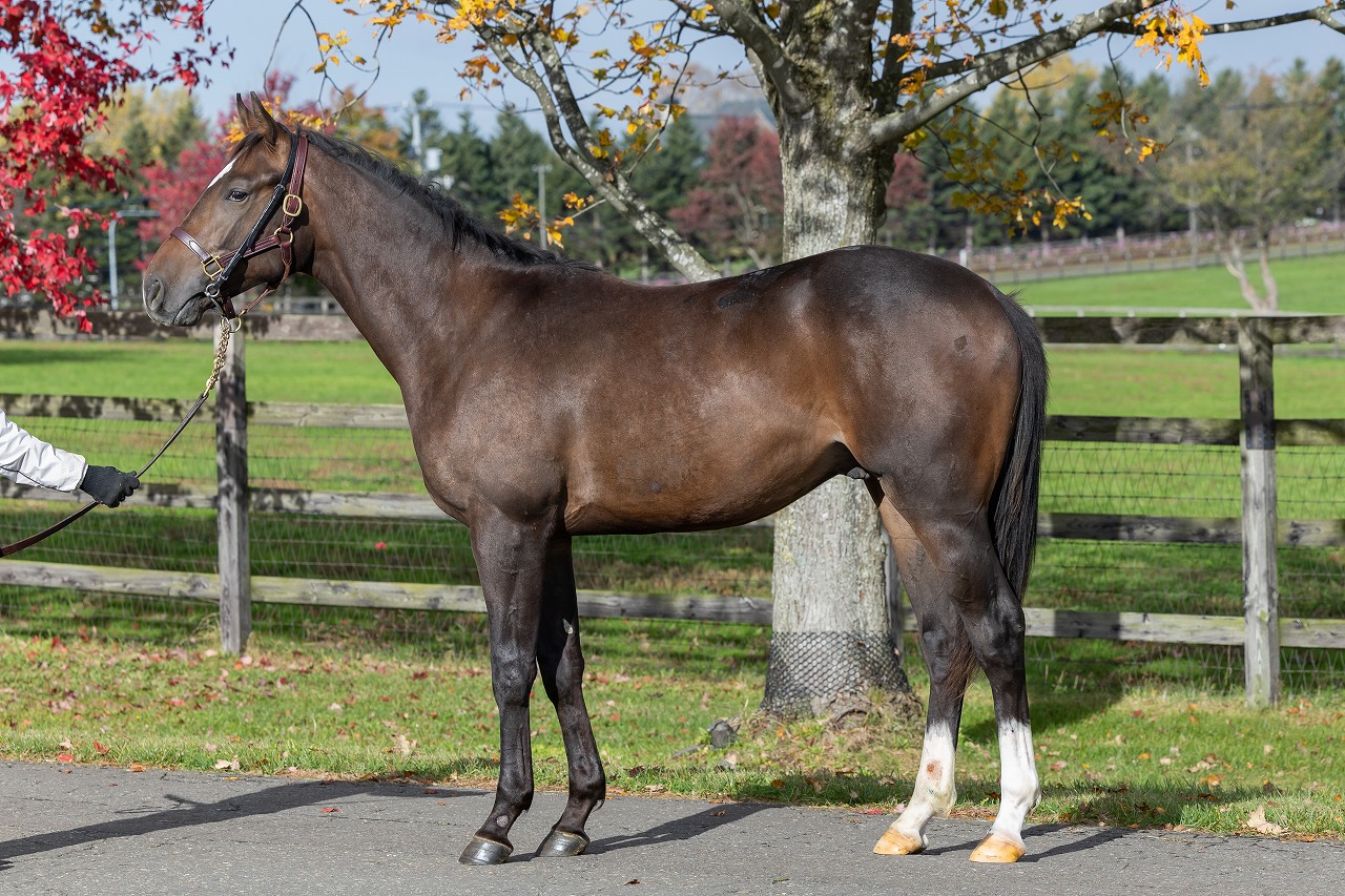 画像サムネイル