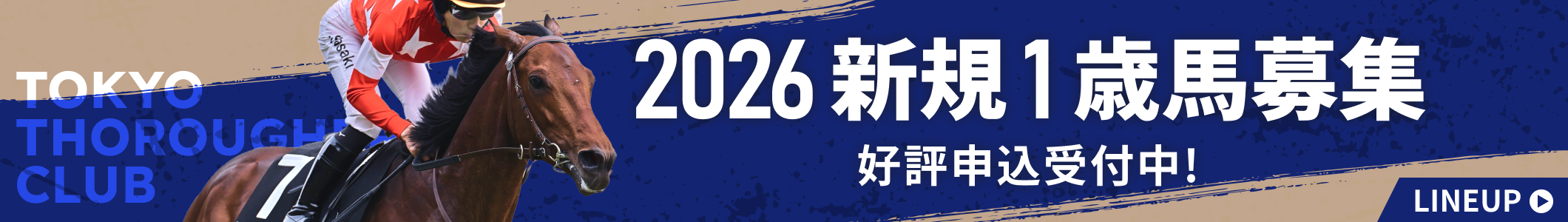 TOKYO THOROUGHBRED CLUB 2026 新規1歳馬募集 好評申込受付中！ LINEUP